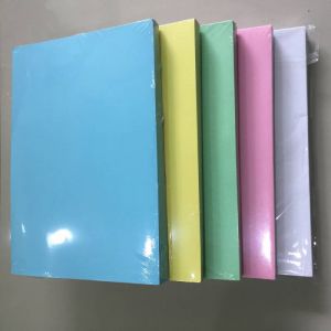 Bìa ngoại A3 One màu Xanh Lá ĐL160
