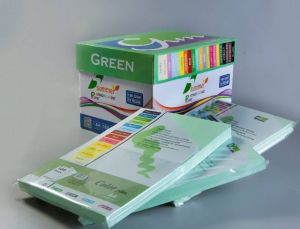 Bìa Ngoại A4  màu Xanh Lá Cao Cấp Summer